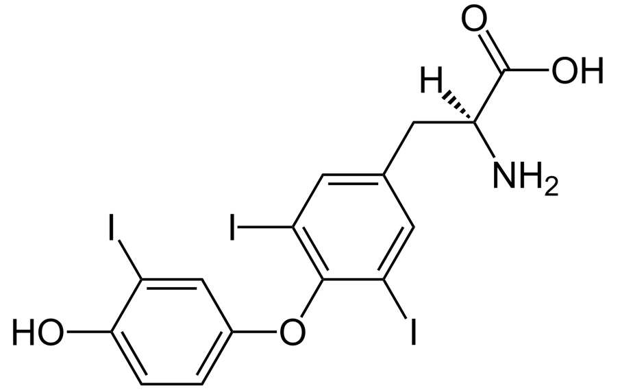 Serbest T3 Hormonu - Nedir, Yüksek ve Düşük Değerleri, Nedenleri